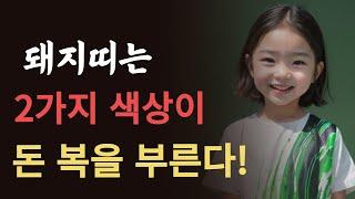 돼지띠분들은 이 두가지 색상을 기억해야 큰 부자 됩니다! 2024년 오르막길에서 돼지띠를 밀어주는 귀인들어 온 띠는!! 95년생 83년생 71년생 59년생 금전 운세