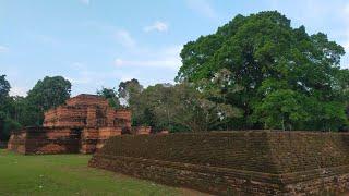 Candi Tinggi, satu diantara beberapa candi kompleks Candi Muaro Jambi