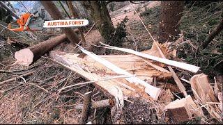 Holzfällen im Sturmholz