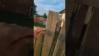 The right way to build a fence on a slope.