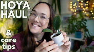 Hoya unboxing with plant care tips and update | Plant with Roos