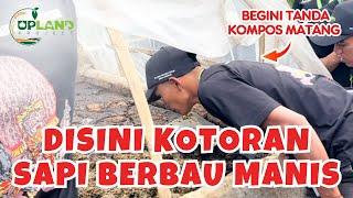 Melihat Kondisi Kompos Penyubur Tanah yang Hampir Jadi | UPLAND Project