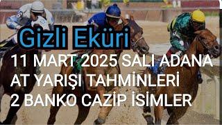 11 MART 2025 SALI ADANA AT YARIŞI TAHMİNLERİ GİZLİ EKÜRİ KANALİMİZDA