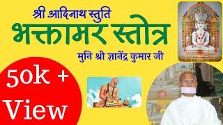 Bhaktamara Stotra by Muni Shri Gyanendra Kumar Ji | मुनि श्री ज्ञानेंद्र कुमार जी | भक्तामर स्तोत