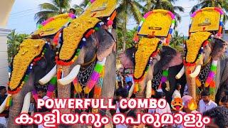 POWERFULL COMBOകാളിയനും പെരുമാളും || ചിറക്കൽ കാളിദാസൻ || പാമ്പാടി രാജൻ || പോർക്കുളം പെരുന്നാൾ 2024