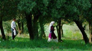 ZEYTİN AĞAÇLARI ALTINDA - TÜRKÇE ALTYAZILI /Through the Olive Trees /Zire Darakhatan Zeyton