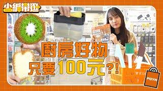 【小編帶逛】100元能買什麼?!!  廚房清潔好幫手 百元好物推薦  POYAHOME  DM折扣商品不能錯過! 寶雅居家五金