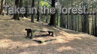 Learning from exploration of Macclesfield Forest Peak District.