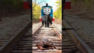 November 30,  Baby Cat, Baby Squirrel & Sleeping Elephant Crying on train truck। funny vfx video