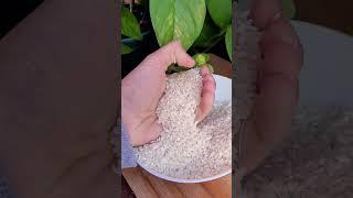 APLICA el MEJOR ABONO ORGÁNICO CASERO para PLANTAS y FLORES | Fertilizantes Huerto urbano y Jardín