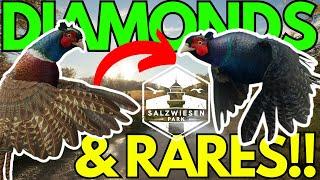 SO MANY DIAMONDS & RARES ON MY MAP!! - Call of the Wild