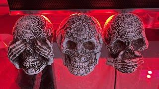 DHS CONFISCATES THE VEGAN MESSIAHS JOSIAH G. MIZUKAMI ELECTRONICS AT HONOLULU AIRPORT!