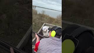 Airboat Life!!! Swamp People!!! Bayou Life!!! #swamplife #realitytvshow