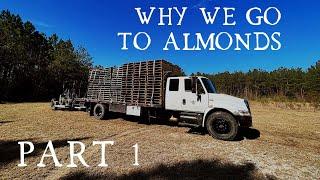 Taking bees to almonds - the PREP (part 1)