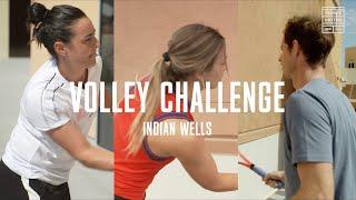 ATP & WTA players take on the Tennis United Volley Challenge 