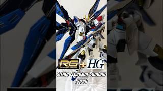 RG+HG Strike Freedom Gundam TypeII #gundam #gunpla #gundamseed #gundamseedfreedom #ガンダム #bandai