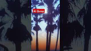 #Al Quran 25  Surah farQan #Islamic short video#translation in Urdu #viral #share comment#like