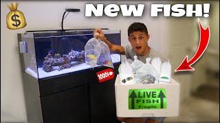 Saltwater FISH SHOPPING SPREE For My AQUARIUM!! *Expensive*