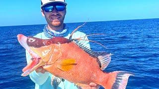 Catching Hogfish and Finding New Spots Using Strikelines Fishing Charts