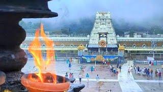 Lord Balaji Whatsapp Status | Lord Venkateswara Whatsapp Status | వేంకటేశ్వరుడు