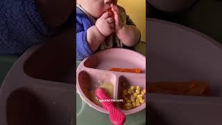 vegan baby :) #babyledweaning #veganbaby #whatveganseat #veganfood #plantbaseddiet #plantpowered