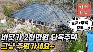 바닷가 토지+주택 단돈 2천만원!!! 그냥 주워가시면 됩니다