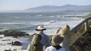 Moonstone Beach: Where Elephant Seals Roam