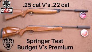 Springer, Budget V's Premium and .25 cal V's .22 cal