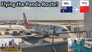 Flight to 'Destination UNKNOWN'... Onboard the Panda Airline heading to the Panda Capital!