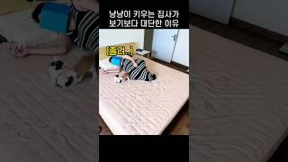"난 못 키우겠는데?.." 새끼 냥냥이 집사가 보기보다 대단한 이유