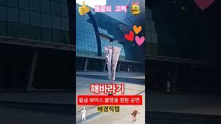 #봄날의 고백#,#황금 보이스 황영웅 #,#해바라기 #.#배경직캠 #