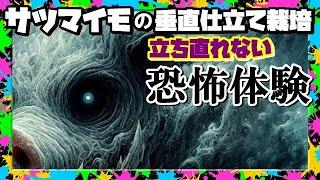 【さつまいも垂直仕立て栽培】 閲覧注意級の恐怖に襲われ立ち直れない