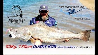 53kg Dusky Kob, Gamtoos River