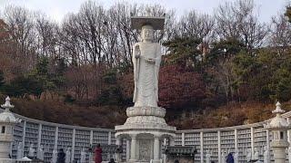 Walk the Bongeunsa Temple, a millennium temple서울 봉은사(1).19.12.15