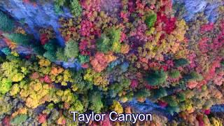 Fall Colors in Northern Utah by Drone