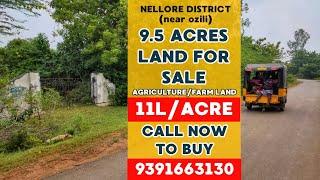 9.5 acres agriculture land for sale in andhrapradesh | low cost agriculture land