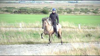 How to tölt on a loose rein with Helga Una Björnsdóttir