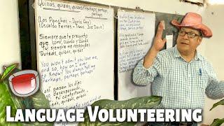 Volunteering in Mexico: Language Schools