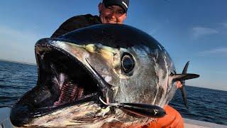 How TUNA CANS Are MADE  | How Millions of Tuna Cans are Processed and Canned