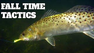 Best Tactics For Speckled Trout in Fall: Speckled Trout Fall Fishing