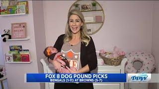 Fox 8 News | Jessica Dill's "Dog Pound" Pick