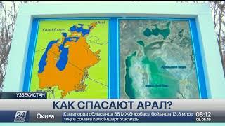 К реализации программы по спасению Аральского моря приступили в Узбекистане