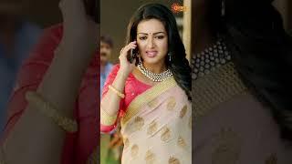  #sarrainodu #alluarjun #brahmanandam #rakulpreetsingh | Telugu Comedy scene