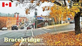 Discover CANADA  BRACEBRIDGE Ontario First Snow Walk in Downtown 4K