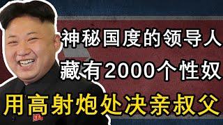 玩弄2000個性奴，國家只有一個頻道，看好萊塢電影要判死刑，殺害親哥，用高射炮炸死叔父，最神秘的朝鮮領導人：金正恩