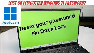 Reset Lost Forgot Windows 11 Password - Access computer again