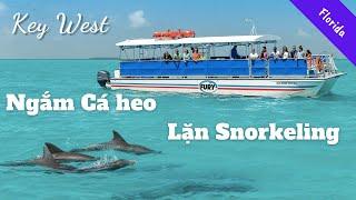 Key West - Tour ngắm cá heo và Lặn snorkeling | Nhà Sakura
