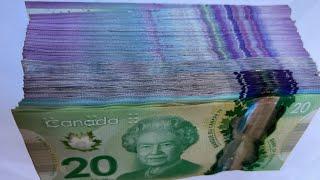 $2500 in Canadian $10 bills bundles (playing+counting) visualization motivation ASMR