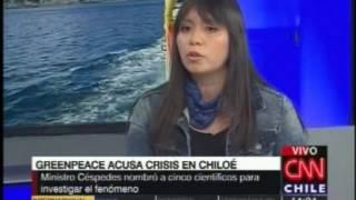 Estefanía González, Coordinadora de Greenpeace Chile en CNN