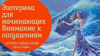 Эзотерика для начинащих.  Внимание к ощущения, эмоциям и информационному полю. 1 видео